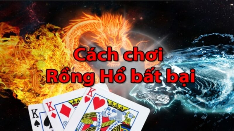 Cách chơi Rồng Hổ về thời điểm cược hợp lý